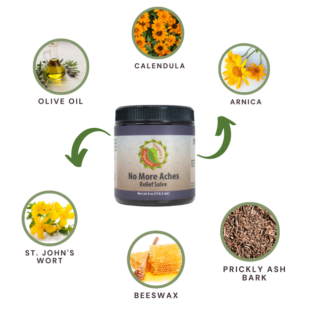 No More Aches Relief Salve | Dragonfly Botanicals